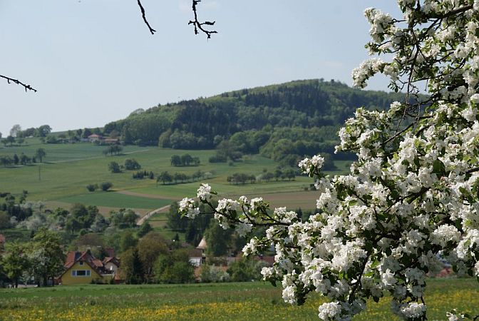Bild Waldbrunn (Odenwald)