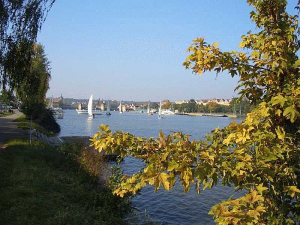 Bild Lauffen am Neckar