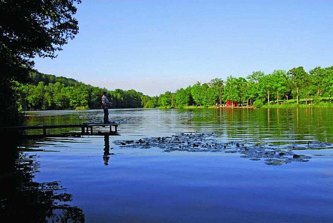 Bild Waldenburg (Württemberg)