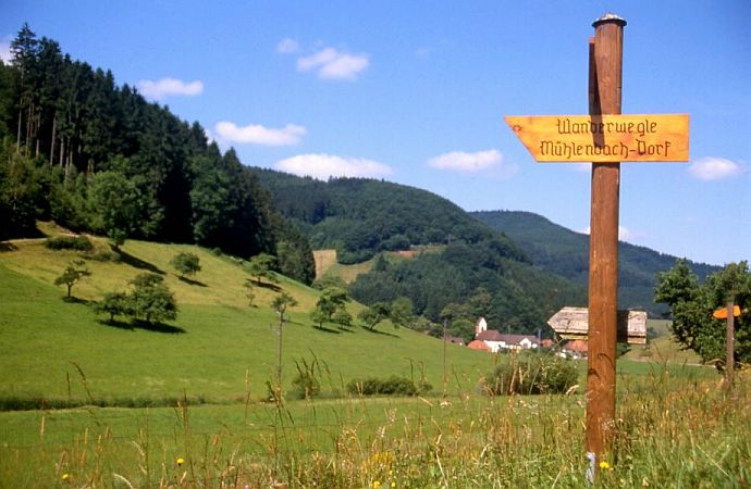 Bild Mühlenbach (Schwarzwald)