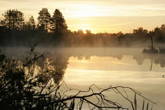 Bild Villingen-Schwenningen