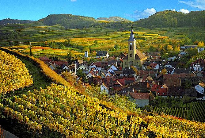 Bild Vogtsburg im Kaiserstuhl