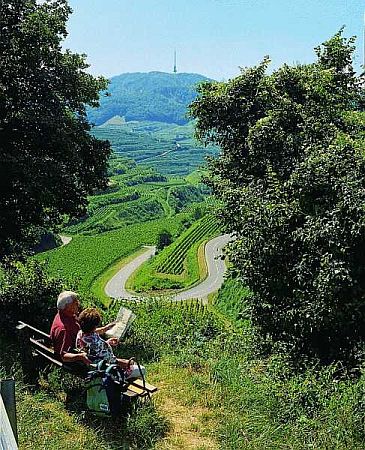 Bild Vogtsburg im Kaiserstuhl