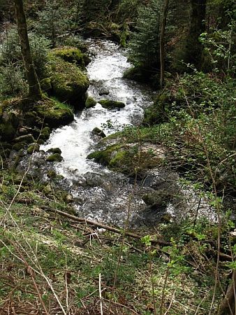 Bild Kleines Wiesental