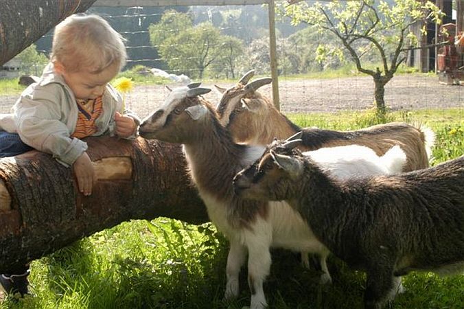 Bild Deggenhausertal