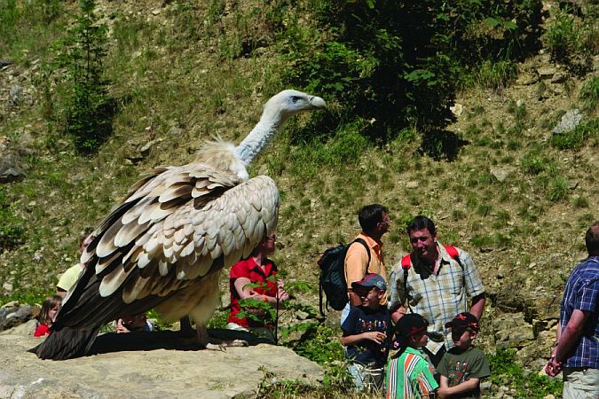 Bild Bad Mergentheim