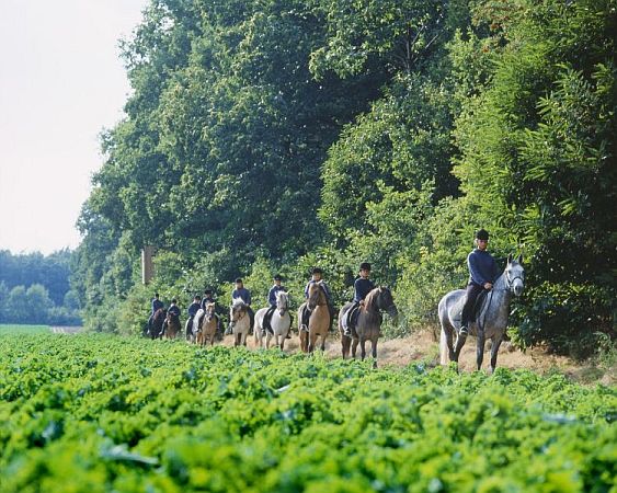 Bild Heiden (Münsterland)